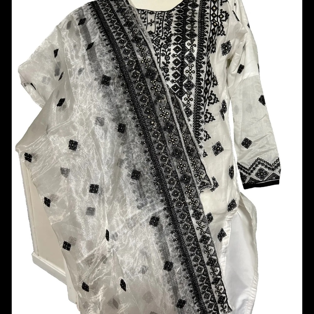 Heavy thread work silk and organza salwar suits